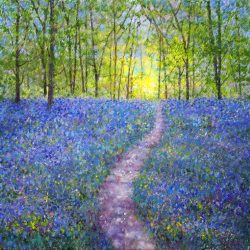 bluebell woods art greeting cards for sale