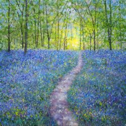 Bluebell Woods giclee prints for sale