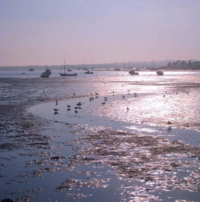 Photo greeting cards for sale Mudeford Quay boats